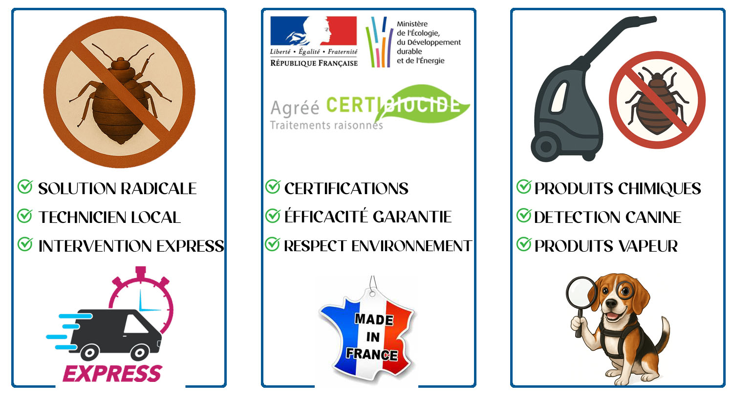 Punaises de Lit Malakoff